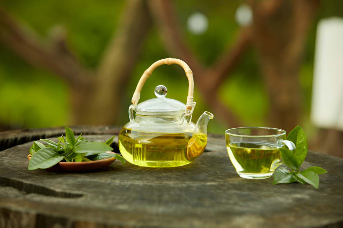 Green Tea For Weight Loss in India